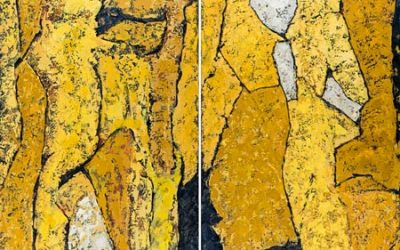 Arbre Carquois Afrique (2017)