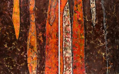 Prunus Serrula Cerisier du Tibet (2017)